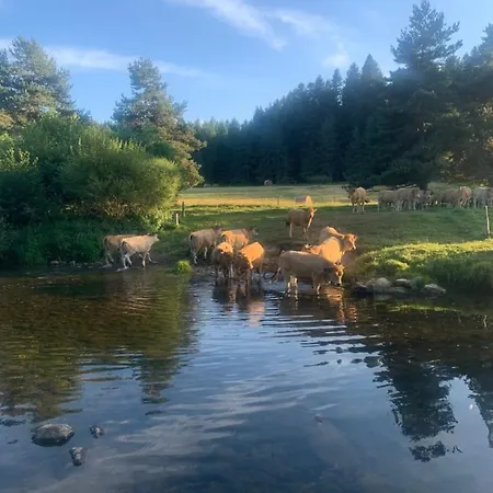 Le Cafe Creme Jardin Parking