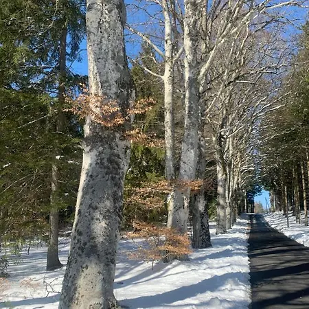 Lägenhet Le Cafe Creme Jardin Parking